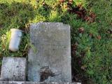 image of grave number 282357